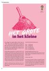 Het grote in het kleine