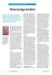 Moerassige bodem