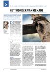 HET WONDER VAN GENADE