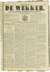 Kort Verslag der Vergadering van het Curatorium gehouden van 11—16 Juli 1916