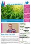 Cannabis in CIJFERS