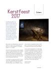 Kerstfeest 2017