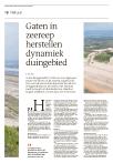 Gaten in zeereep herstellen dynamiek duingebied