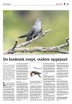 De koekoek roept, ouders opgepast