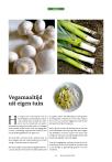Vegamaaltijd uit eigen tuin