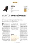 Door de Zouweboezem